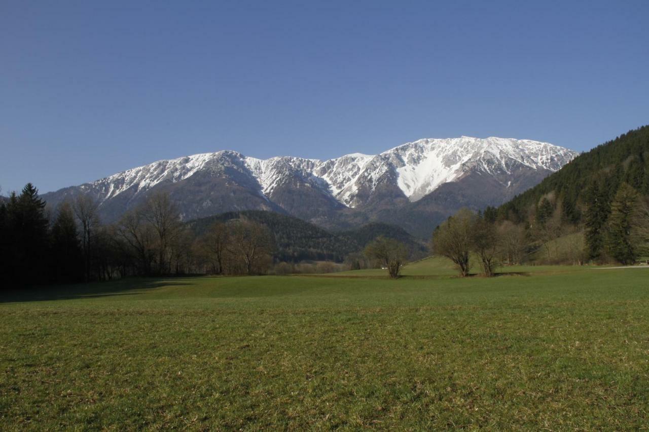 Haus Lenz Ferienwohnungen - Fam Ostermann Puchberg am Schneeberg Exterior photo